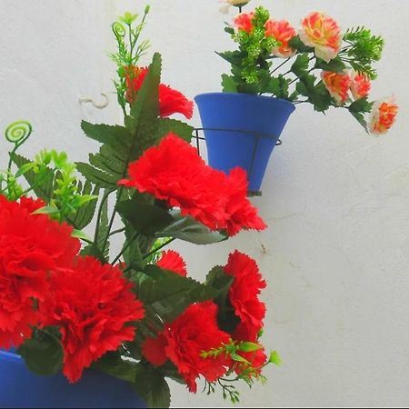 Apartamento Casa Mozarabe กอร์โดบา ภายนอก รูปภาพ