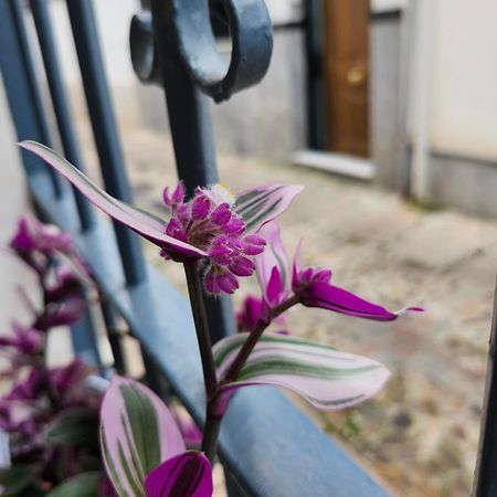 Apartamento Casa Mozarabe กอร์โดบา ภายนอก รูปภาพ
